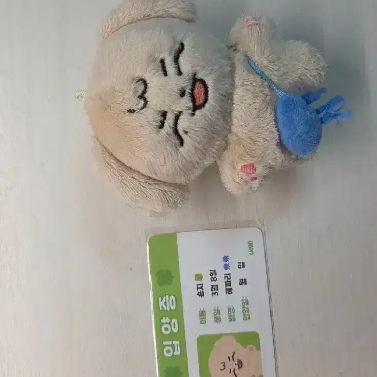 TWS | 투어스 Tws Dohun doll Kkamnoong on Bunjang Global Site.