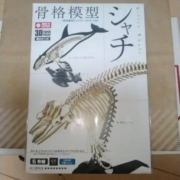 골격 모형 샤치 3D 페이퍼 퍼즐