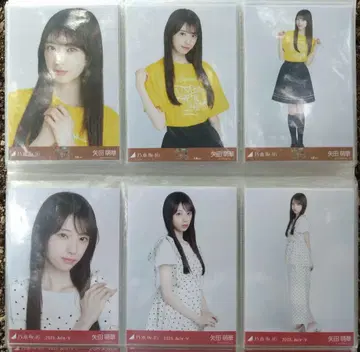 야다 모에카 한여름의 전국 투어 2025 티셔츠 오사카 ver.& 도트