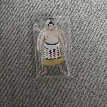 스모 가챠 나고야 장소 세키토리 아크릴 스탠드 가챠 오노사토