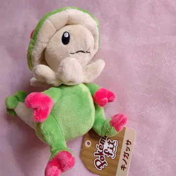 포켓몬 피트 봉제 인형 키노가사 포켓몬 센터 포켓몬