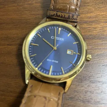 CITIZEN Eco-Drive 골드 손목시계