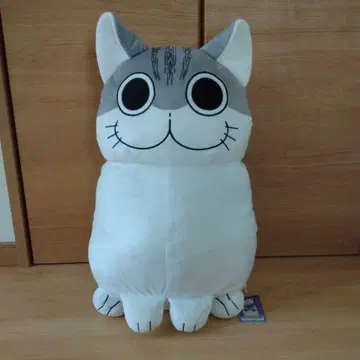 밤에는 고양이와 함께 BIG 봉제 인형 쿠루가 GIGO 한정판