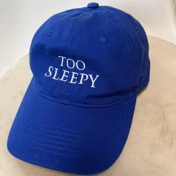 meltum 멜텀 Embroidery Cap 자수 캡 블루