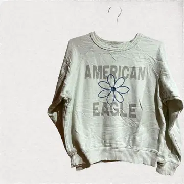 AMERICAN EAGLE 플라워 그래픽 맨투맨 S/P