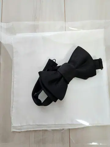 트리트 드레싱 신랑 나비 넥타이 스카프
