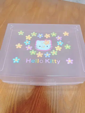 레어 산리오 헬로키티 꽃 키티 보관 케이스 키티