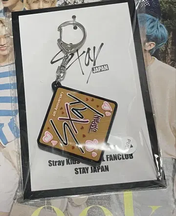 Stray Kids STAY JAPAN 키링 한