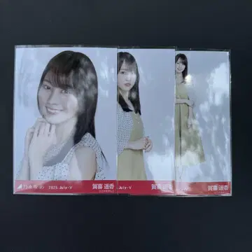 노기자카46 브로마이드 도트 카키 하야카