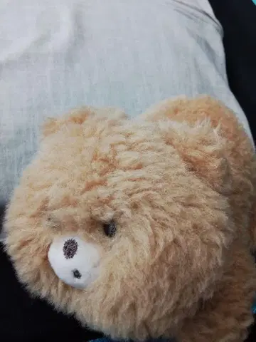 개 포메라니안 봉제 인형 베이지
