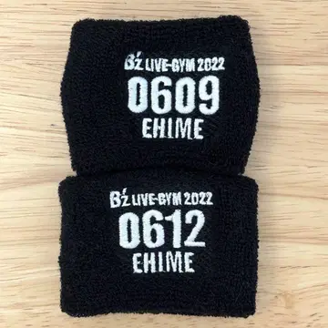 B'z LIVE-GYM 2022 EHIME 리스트 밴드 세트