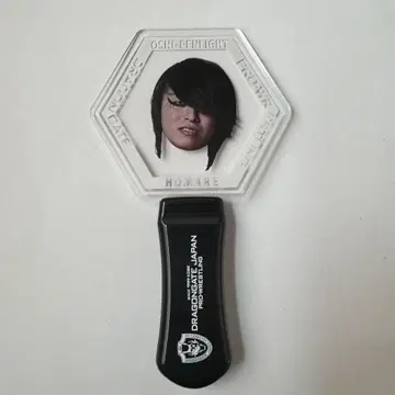 드래곤 게이트 하네키 선수
