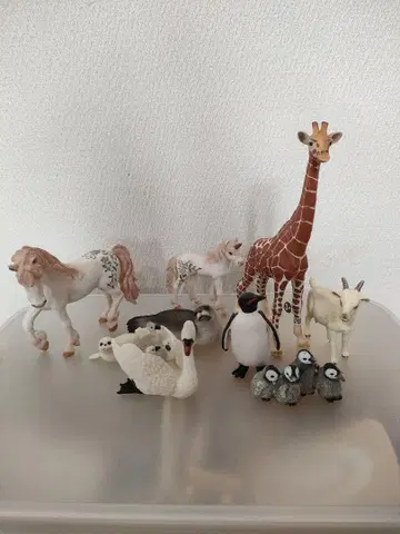 슐라이히 묶음 판매