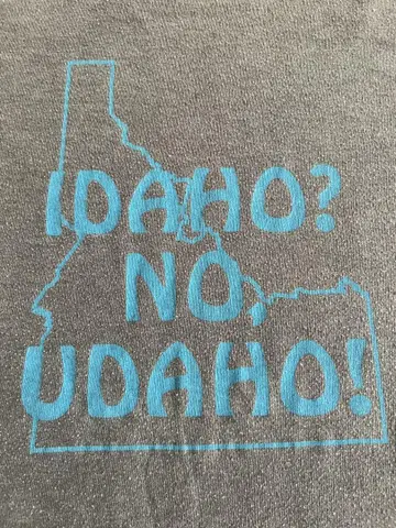 90s IDAHO NO UDAHO 미국제 구제 의류 티셔츠 M
