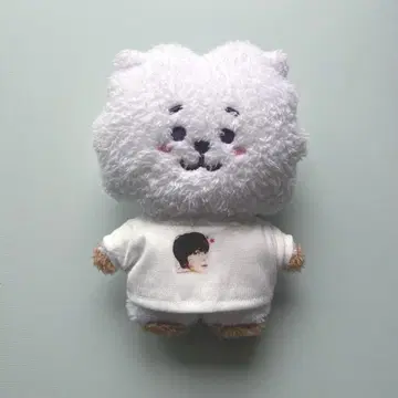BTS 타톤 코스튬 1