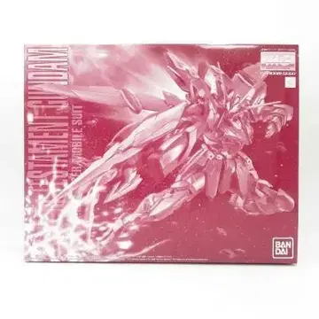 1/100MG ZGMF-X12A/RGX-00 테스타멘토 기동전사 건담