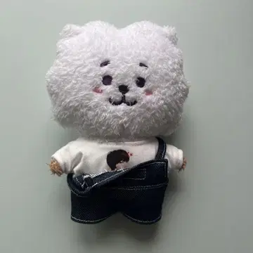 BTS 타톤 코스튬