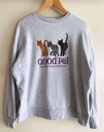 고양이 트레이닝복