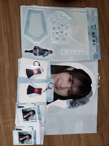 노이미 복권 카니사와 모에코
