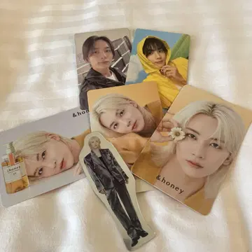 SEVENTEEN 정한 트레이딩 카드
