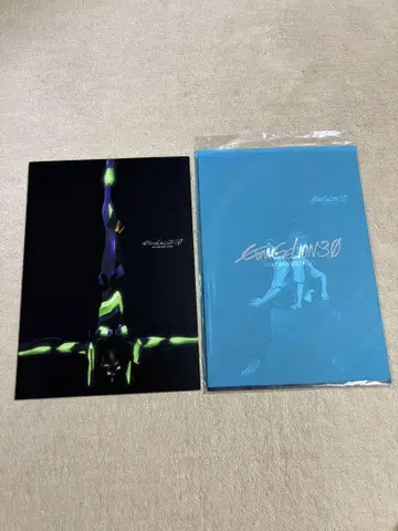 EVANGELION 에반게리온 1.0 3.0 영화 극장판 팜플렛