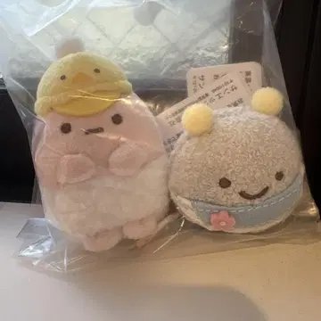 스미코구라시 테노리 봉제 인형 타피오카 먼지 세트 보육원