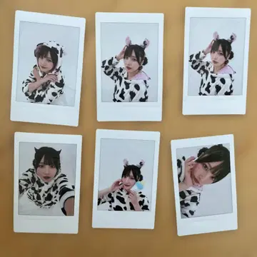 카스 생일 폴라로이드