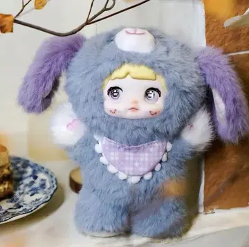Nommi V5 강아지 일기