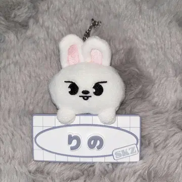 straykids 스키즈 리노 Lee 비트 네임 백 참