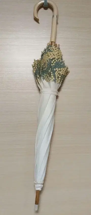 콘타자와 레이스 미모사 양산