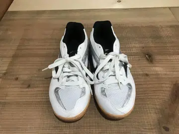미즈노 탁구용 신발