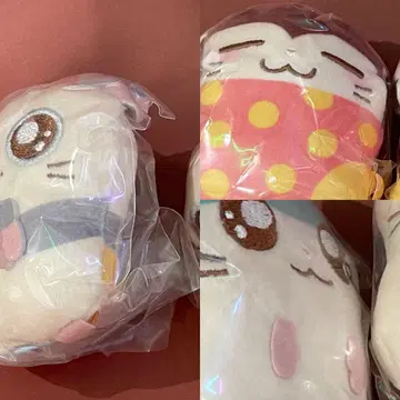유야 님