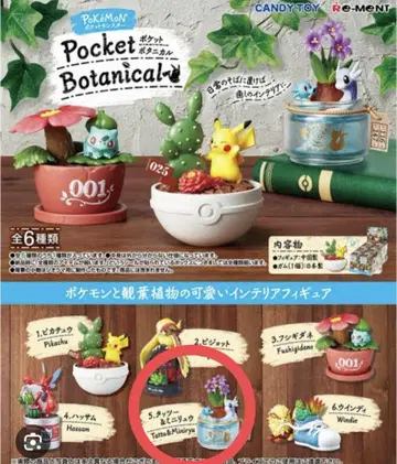 리멘트 포켓몬 Pocket Botanical 미니 리우&타츠