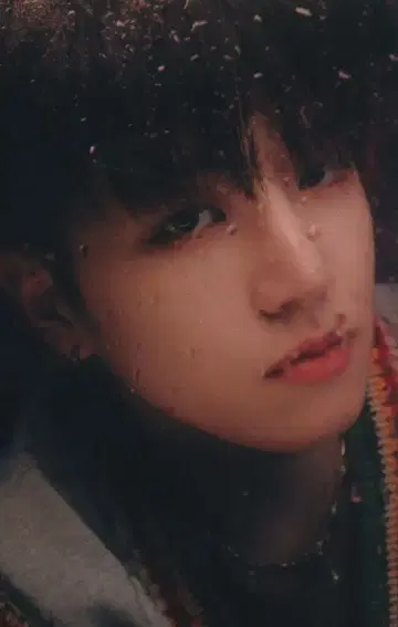BOYNEXTDOOR WHY.. RIWOO 트레이딩 카드