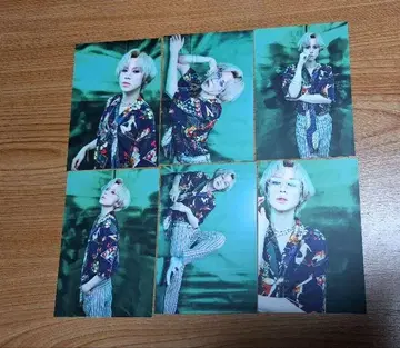 LM.C maya 엽서 6장 세트