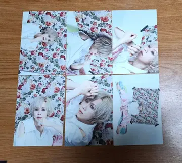 LM.C maya 엽서 6장 세트