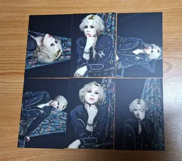 LM.C maya 엽서 6장 세트