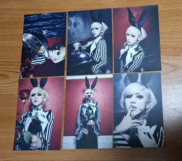 LM.C maya 엽서 6장 세트