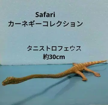 Safari 카니지 타니스트로페우스 피규어 1999년 목에 균열 있음