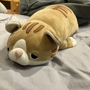 고양이 봉제 인형 브라운