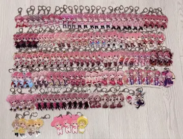스토푸리 사토미군 아크링 키링