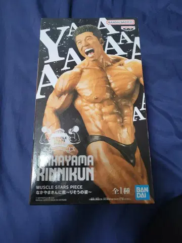 나카야마킨니군 피규어