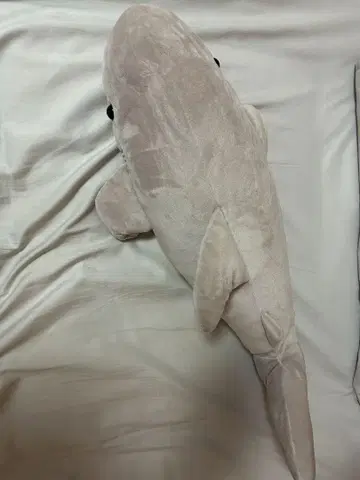 상어 봉제 인형 약 60cm