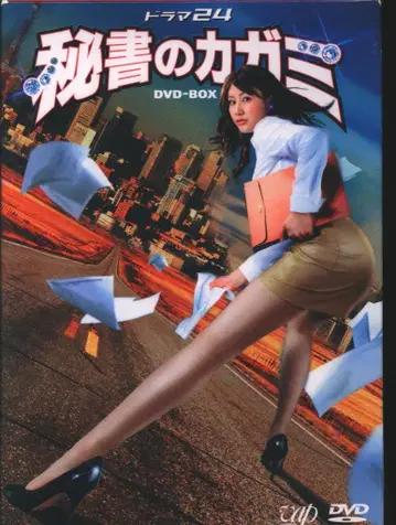 드라마 DVD 비서의 카가미 DVD-BOX