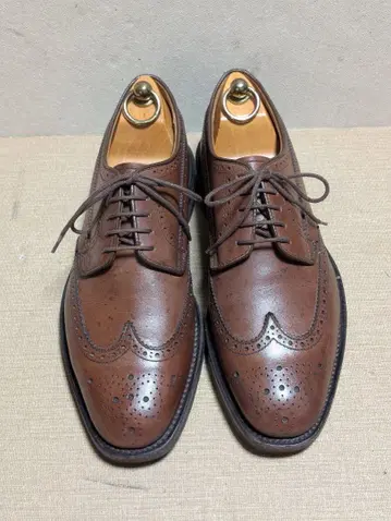 REGAL 윙 칩 브라운 모델번호 w10a 24.5cm