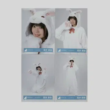 사카이 신나 동물 인형옷