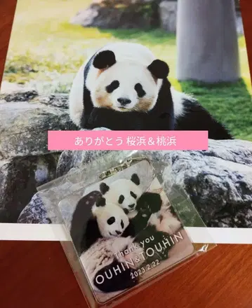 고마워요 사쿠라하마 & 모모하마 아크릴 키링 덤 포함 어드벤처 월드