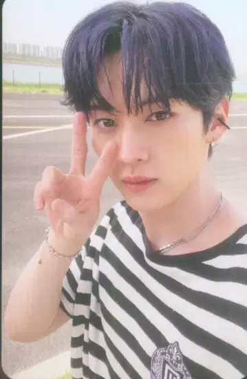 StrayKids MAXIDENT LeeKnow 트레이딩 카드 화이트