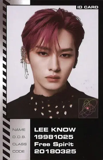 StrayKids ID 카드 LeeKnow ODDINARY