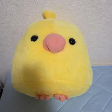 후쿠후쿠 코토리타이 오카메루치노 크레인 게임 봉제 인형